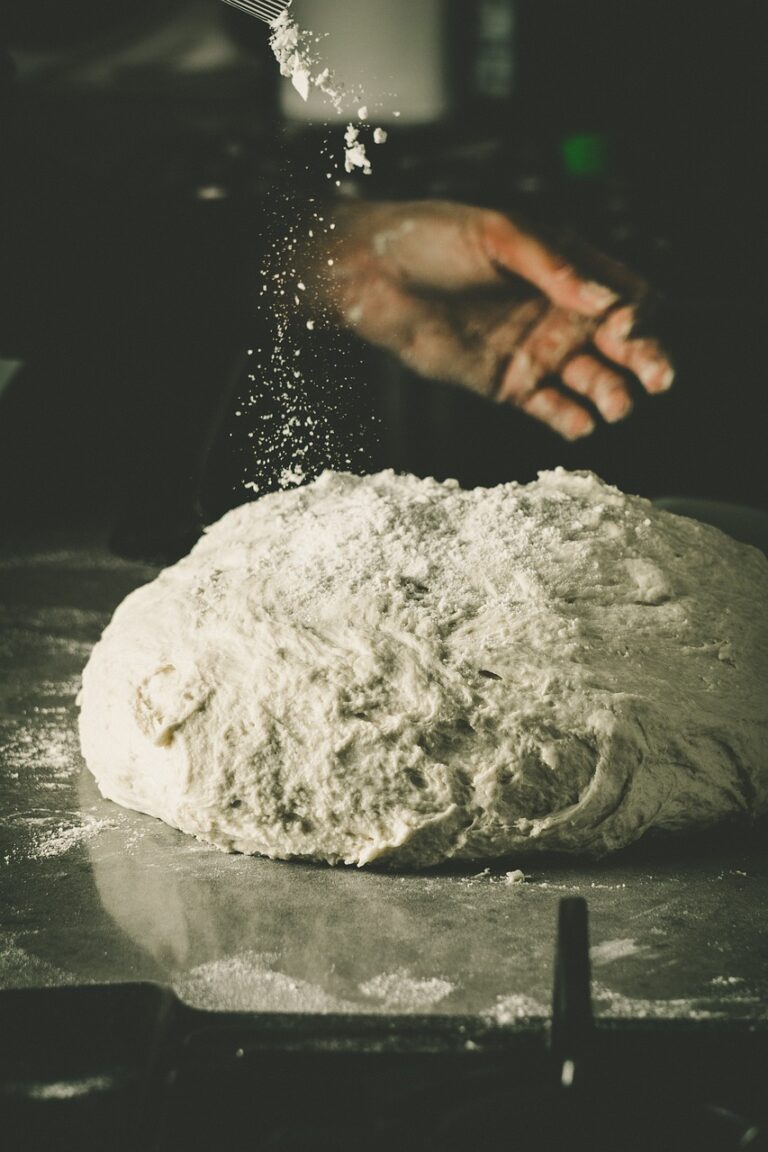 dough, pizza, food-5349412.jpg